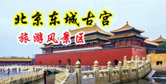骚少妇视频中国北京-东城古宫旅游风景区